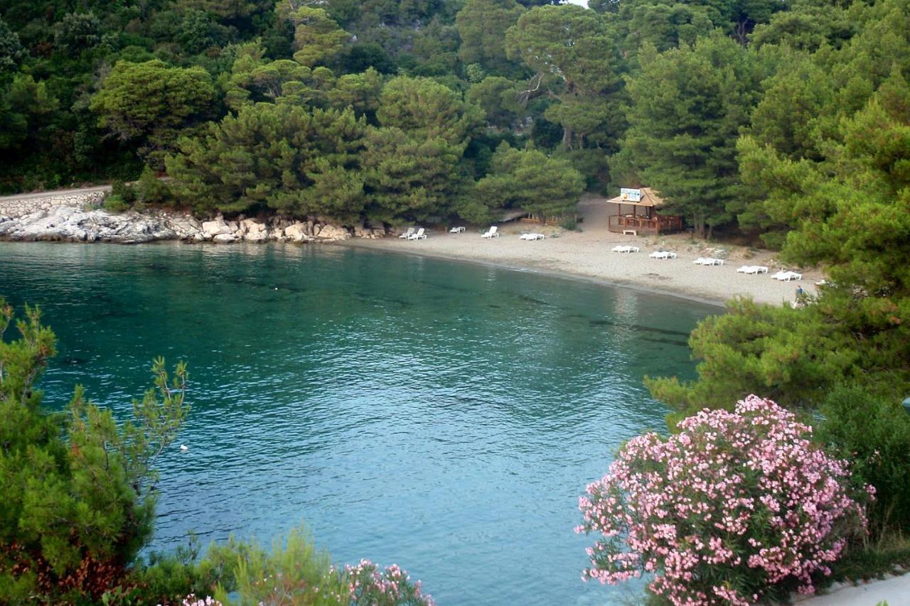 Apartments By The Sea Cove Blaca, Mljet - 4899 Saplunara Exteriör bild
